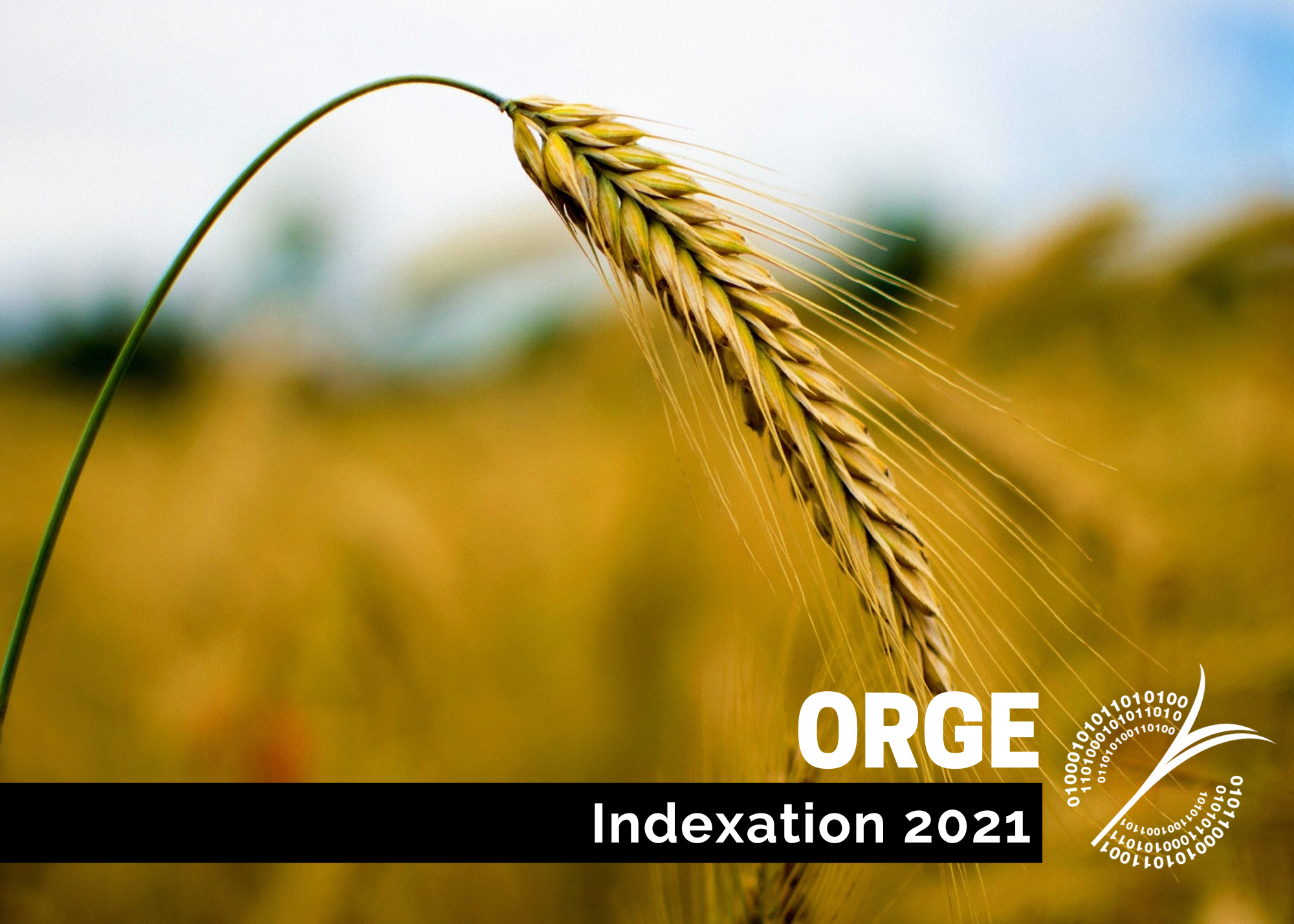 Études de coûts de production : Indexation 2021 - Orge